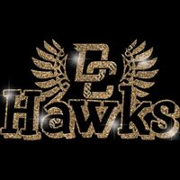 GLT17 GOLD GLITTER Thumbnail